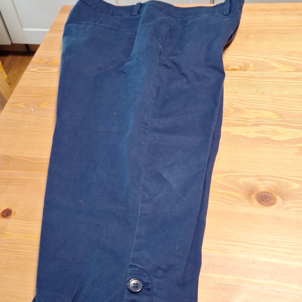 Talbots Navy Skimmers Pants